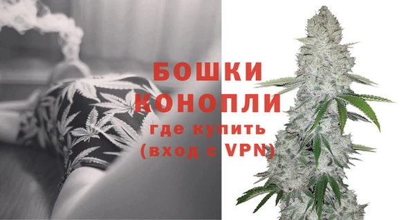 дмт Белокуриха