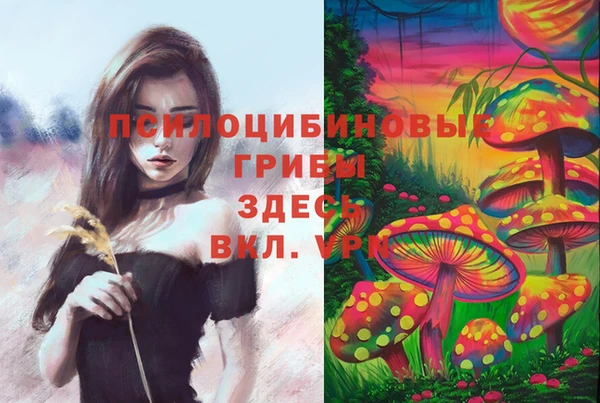 шишки Балабаново